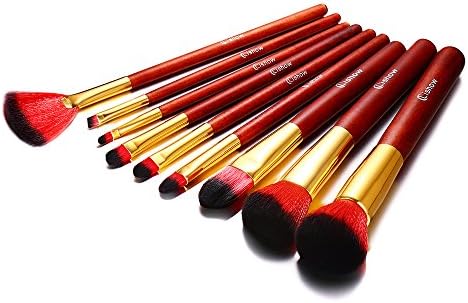 Lishow Makeup Brushes Set 9pcs Professional Cosmetic Brush Kit Foundation Blending Blush EyeShadow Face Powder Brush Portable Makeup Brush Kit …