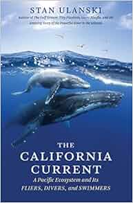 The California Current A Pacific Ecosystem And Its Fliers