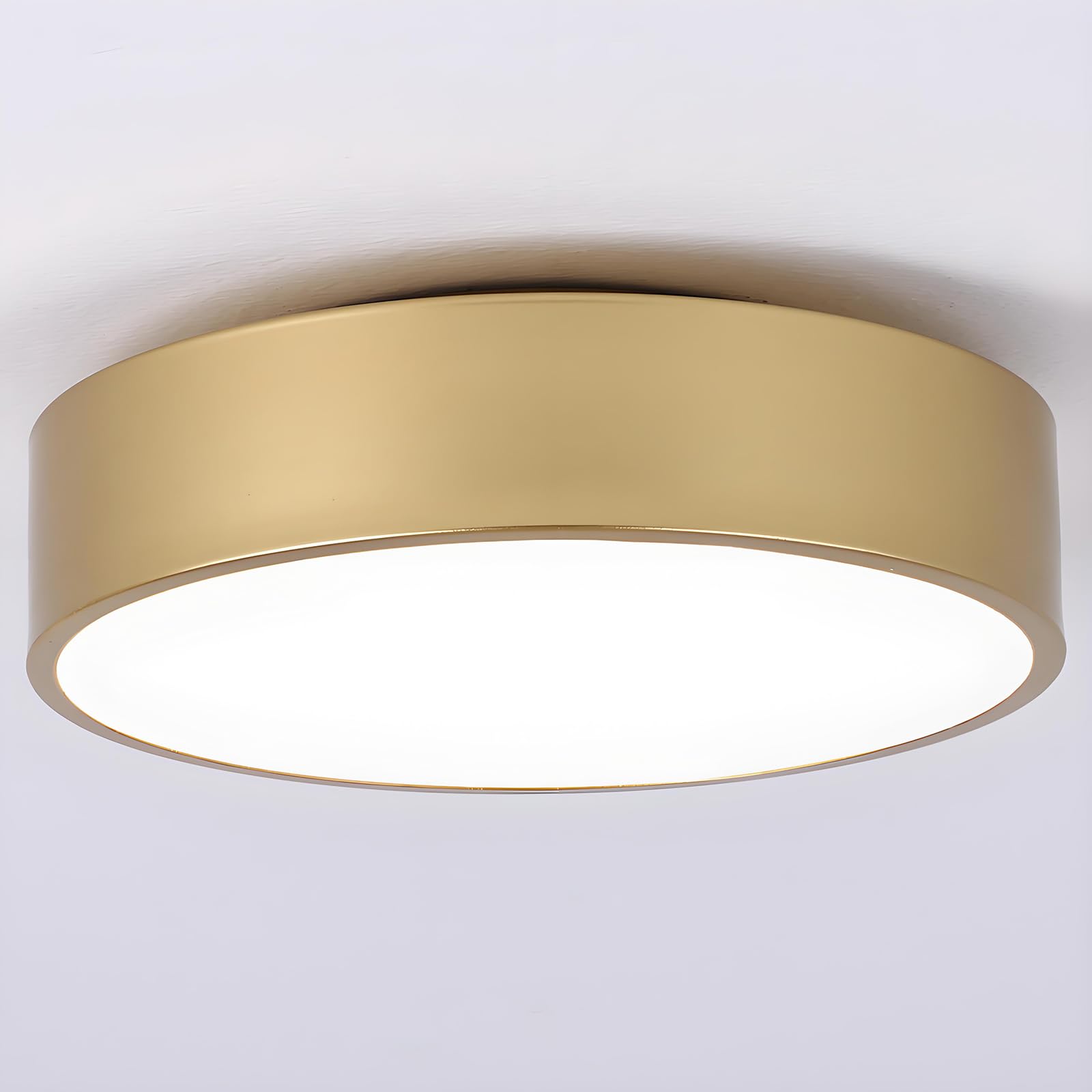 Photo 1 of erpymi Modern Gold Flush Mount Ceiling Light, 2-Lights Round Ceiling Light, Minimalistic Ceiling Lamp Acrylic Shade Lighting Fixture for Bedroom Laundry Room Bathroom Hallway(11.8 Inch)
