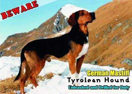 tyrolean hound