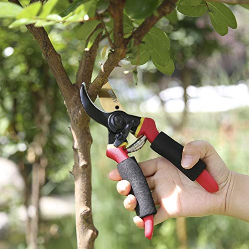 WOTF Professional 8 inches Premium Titanium Bypass Pruning Shears, Premium Utility Garden Clippers Scissors with Sponge Handle Protector,Tree Trimmers Secateurs Hand Pruners - Thumbnail 4