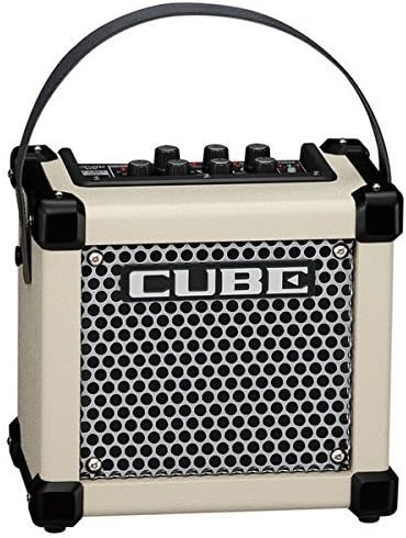 [REVIEW] Roland MICRO CUBE GX | Micro Cube Battery Powered Guitar