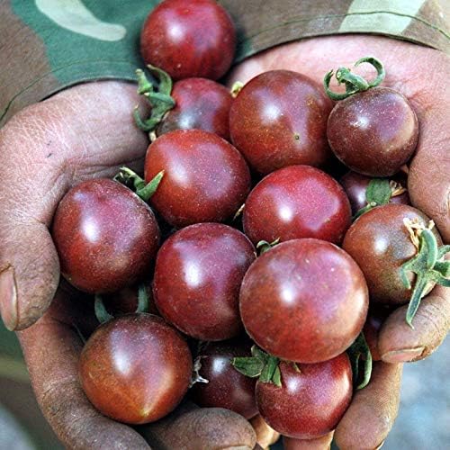 los más vendidos de amazon