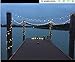 Solar String Lights Globe Crystal Balls Waterproof LED Fairy Lights for Garden Yard Home Party Wedding Decoration Cool White