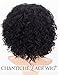 Chantiche Black Wig Synthetic, Short Curly Wig for Women Heat Resistant Synthetic Wigs 1B (GL-0504)