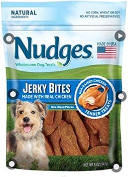 light up dog accessories