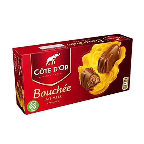 Cote D'Or Milk Chocolate Hazelnut Pralines Bouchee Giftbox, 200g (7.05