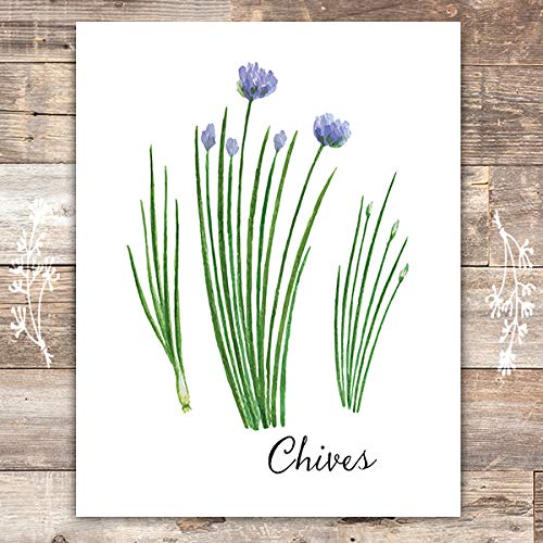 Kitchen Herbs Art Prints (Set of 6) - Unframed - 8x10s | Botanical Prints Wall Art - Thumbnail 5