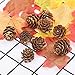 Cooraby 80 Pieces Micro-mini Natural Pine Cones Christmas Natural Pine Cones Ornaments for Home Decoration, Fall and Christmas Crafts