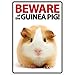 Beware of The Guinea Pig Plastic Sign