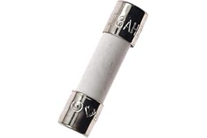 CHENGHONGXING 10PCS Ceramic fuses T8AH250V Slow-Blow 5x20mm/0.197"x0.787" 8AMP 250V (T8A)