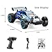 LDB Direct Remote Control Car, RC Car 2.4 GHZ High Speed Racing Car 1:20 2WD Electric Sport Racing Hobby Cars Christmas Birthday Gifts for Boys Girls Adults Kids (Blue)