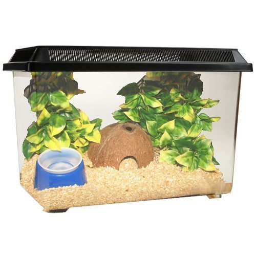 Ocean Free Pt068 Goldfish 12l Fish Tank Bowl Starter Kit Reptile