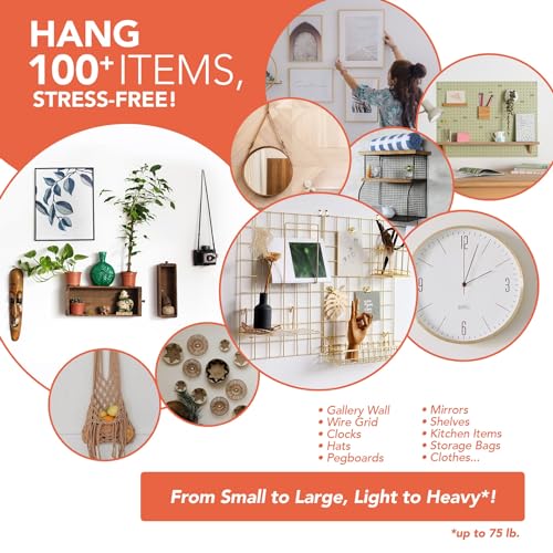 Wellnur 284pcs Picture Hooks | Heavy Duty Picture Hanging Kit | Rustproof Assorted Picture Hangers, 62 Hooks, 30 Sawtooth, D-Rings, Wire, Nails & Screws for Mirrors, Frames & Paintings