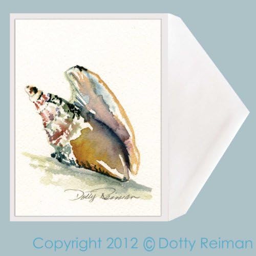 Mollusk Greeting Card : Set of 5 Shell 5 x 7 inch cards by Dotty Reiman - Blank on the Inside : Free Shipping