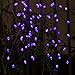 Satu Brown Solar String Lights 60 LED 36ft Outdoor Fairy Lights Crystal Ball Christmas Globe Lights for Home, Garden, Patio, Parties, Christmas Decoration