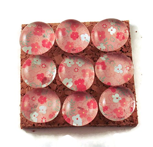 Push Pins for Memo Board in Ashley (P105)