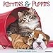 Kittens & Puppies 2020 Wall Calendar by