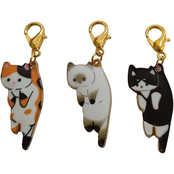 11 -porte Clé Pampille En Cuir, Cordon Tressé, Breloque, Pendentif Noir