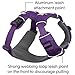 Ruffwear, Front Range Dog Harness, Reflective Soft Padded Everyday Harness with Dual Leash Clips, Adjustable and Lightweight Fit for Training or Walking for All Dogs, Tillandsia Purple, Small