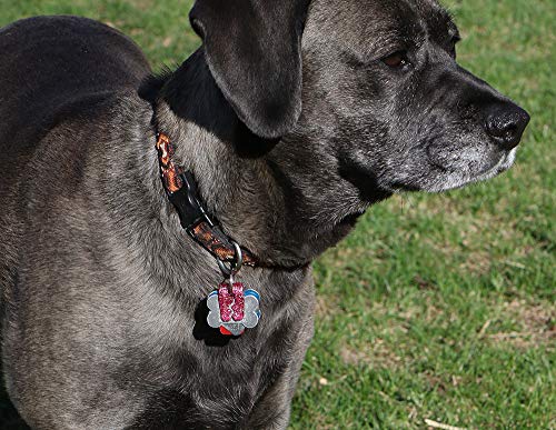 SilenTags Pet Tag Silencer Clip It On, Jingle's Gone! -Pink