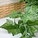 Rurality 192 Feet - 24 Artificial Ivy Garland Greenery Fake Green Vines with Leaves Decoration for Wedding Patio Fence