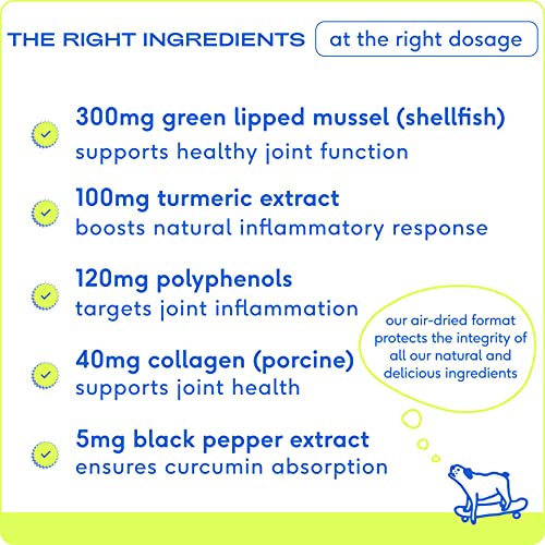 Native Pet Relief Anti Inflammatory for Dogs Turmeric + Polyphenols