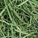 Small Pet Select 12oz 3rd Cutting Timothy Hay