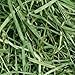 Small Pet Select 12oz 3rd Cutting Timothy Hay