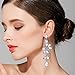 BriLove Wedding Bridal Dangle Earrings for Women Victorian Style Crystal Cluster Teardrop Leaves Dangle Earrings Clear Silver-Tone