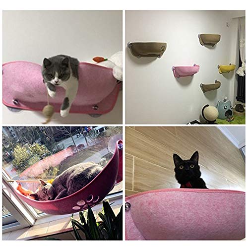 cat suction cup window perch