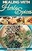 Healing With Herbs And Spices (Miracle Healers From The Kitchen Book 5)