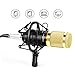 EARAMBLE Professional Studio Broadcasting Recording Condenser Microphone Recording Microphone with Shock Mount (Black)