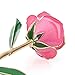 24 K Gold Foil Trim Long Stem Rose Last Forever Best Gift for Valentine's Day, Mother's Day,anniversary, Birthday Gift (Pink) by Holidayli
