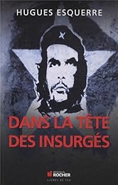 Dans la tête des insurgés