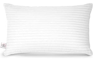 TRENDY HOME BY PEPMART TRADERS Trendy Home 12x18 Throw Pillow Insert, Cushion Sham Stuffer Hypoallergenic, Lumbar Support Decorative Home Outdoor Couch Pillow Filler (Machine Wash)