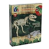 winemana Dinosaur Science Kit Dinosaur Fossil Digging Kit for Kids (A)