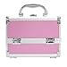 Binxin Professional Mini Makeup Train Case - Cosmetic Box with Adjustable Dividers - 3 Extendable Trays Aluminum Make Up Artist Organizer Kit With Mirror(L8 x W6)