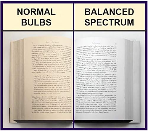 balanced spectrum desk lamp