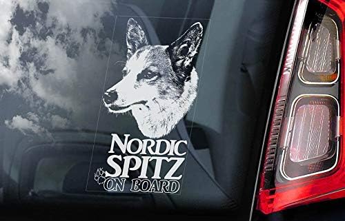 nordic spitz dog