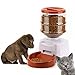 iUcar Dog Feeders Automatic Pet Feeders for Dogs Cats with Large Container and LCD Panel,Voice Recording