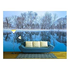 Landscape is Not Still Pond with Snowy Shore - Removable Wall Mural | Self-Adhesive Large Wallpaper - 66x96 inches