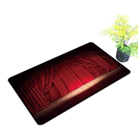 Amazon Com Gmnalahome Waterproof Indoor Door Mat Theater Stage