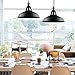 B2ocled Pendant Light, Industrial Retro Pendant Lights Fixtures with E26/E27 Based, Barn Hanging Pendant Lighting for Kitchen Island Farmhouse Living Room Barn, Blcak Metal Vintage Style