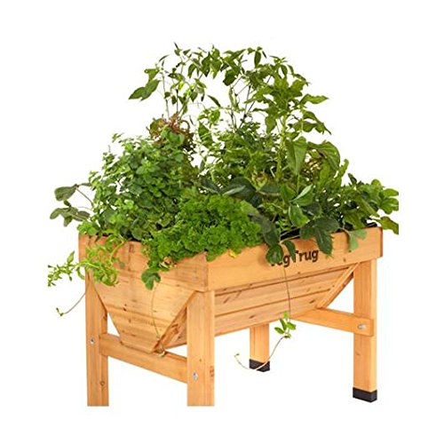 Mesa de cultivo de madera Vegtrug mediana: Amazon.es: Jardín