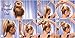 SWACC Hair Donut Bun Maker Set, 4 Sizes Included + Hair Ties & Bobby Pins (Brown) - For Updos, Scrunchie Chignons, and Ballerina Buns