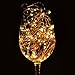 LightsEtc String Lights, 15.7ft 20 LED Solar Warm White Blossom Lighting Waterproof Flower Fairy Lights for Christmas Holiday Party Indoor Outdoor Houses Garden