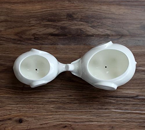 Sea star Set of 2 Cute Elephant Flower Pot,Modern White Ceramic Succulent Planter Pots / Tiny Flower Plant Containers (Elephant)