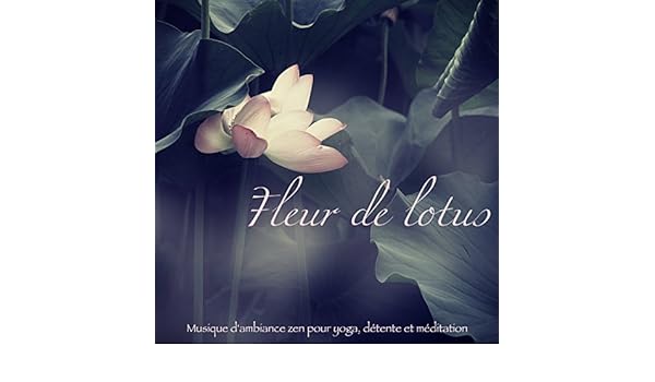 Fleur De Lotus Musique Dambiance Zen Pour Yoga Détente