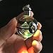 S-SO K9 Crystal 3D Bulbasaur pokemon ball Night LED light keychain ring